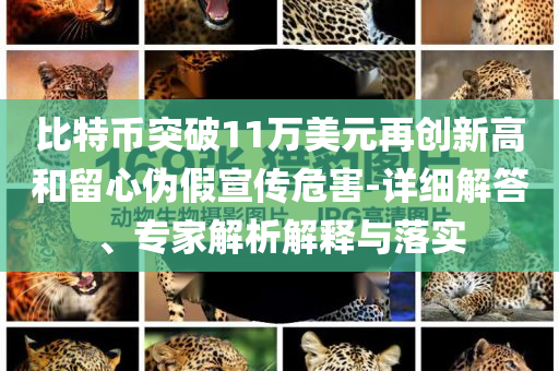 比特幣突破11萬美元再創(chuàng)新高和留心偽假宣傳危害-詳細解答、專家解析解釋與落實