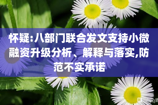 懷疑:八部門聯(lián)合發(fā)文支持小微融資升級分析、解釋與落實,防范不實承諾