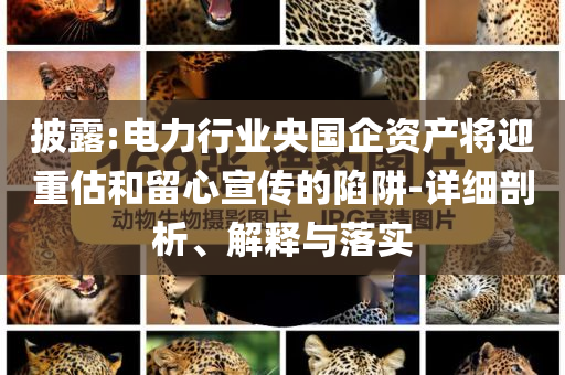 披露:電力行業(yè)央國(guó)企資產(chǎn)將迎重估和留心宣傳的陷阱-詳細(xì)剖析、解釋與落實(shí)