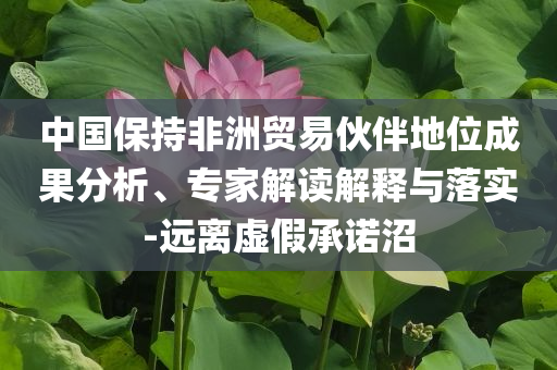 中國(guó)保持非洲貿(mào)易伙伴地位成果分析、專家解讀解釋與落實(shí)-遠(yuǎn)離虛假承諾沼