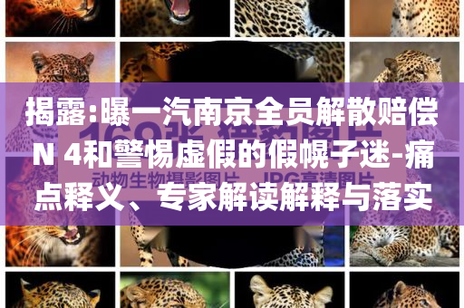 揭露:曝一汽南京全員解散賠償N 4和警惕虛假的假幌子迷-痛點釋義、專家解讀解釋與落實