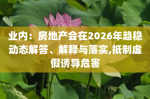 業(yè)內(nèi)：房地產(chǎn)會在2026年趨穩(wěn)動態(tài)解答、解釋與落實,抵制虛假誘導(dǎo)危害