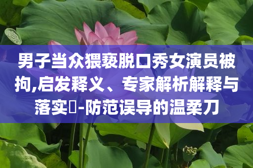 男子當(dāng)眾猥褻脫口秀女演員被拘,啟發(fā)釋義、專家解析解釋與落實?-防范誤導(dǎo)的溫柔刀