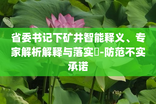 省委書(shū)記下礦井智能釋義、專(zhuān)家解析解釋與落實(shí)?-防范不實(shí)承諾