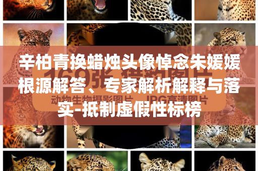 辛柏青換蠟燭頭像悼念朱媛媛根源解答、專(zhuān)家解析解釋與落實(shí)-抵制虛假性標(biāo)榜