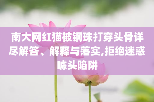 南大網(wǎng)紅貓被鋼珠打穿頭骨詳盡解答、解釋與落實,拒絕迷惑噱頭陷阱