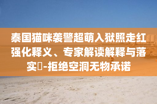 泰國貓咪襲警超萌入獄照走紅強化釋義、專家解讀解釋與落實?-拒絕空洞無物承諾