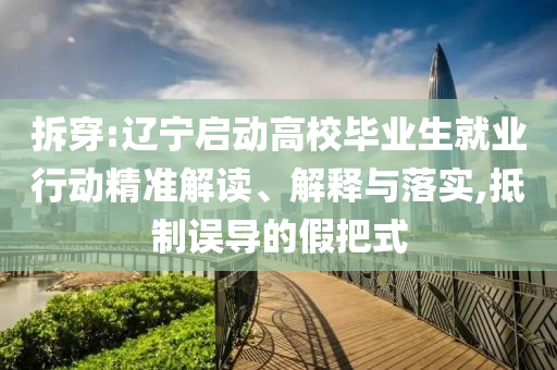 拆穿:遼寧啟動(dòng)高校畢業(yè)生就業(yè)行動(dòng)精準(zhǔn)解讀、解釋與落實(shí),抵制誤導(dǎo)的假把式