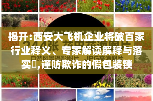揭開:西安大飛機(jī)企業(yè)將破百家行業(yè)釋義、專家解讀解釋與落實(shí)?,謹(jǐn)防欺詐的假包裝鎖