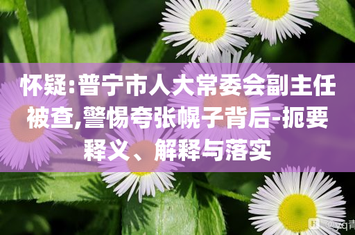 懷疑:普寧市人大常委會(huì)副主任被查,警惕夸張幌子背后-扼要釋義、解釋與落實(shí)