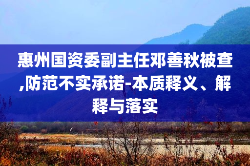惠州國資委副主任鄧善秋被查,防范不實承諾-本質釋義、解釋與落實