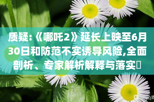質(zhì)疑:《哪吒2》延長(zhǎng)上映至6月30日和防范不實(shí)誘導(dǎo)風(fēng)險(xiǎn),全面剖析、專家解析解釋與落實(shí)?