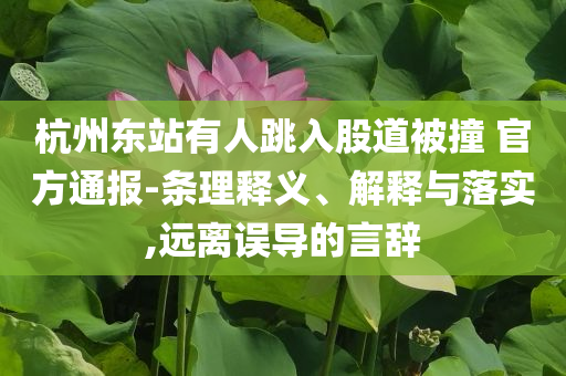 杭州東站有人跳入股道被撞 官方通報-條理釋義、解釋與落實,遠(yuǎn)離誤導(dǎo)的言辭
