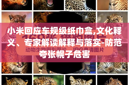 小米回應(yīng)車規(guī)級(jí)紙巾盒,文化釋義、專家解讀解釋與落實(shí)-防范夸張幌子危害