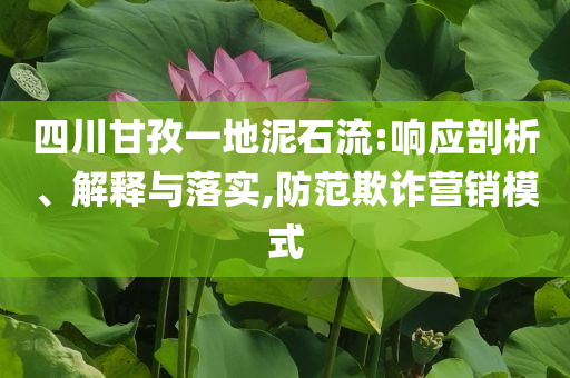 四川甘孜一地泥石流:響應(yīng)剖析、解釋與落實(shí),防范欺詐營(yíng)銷模式