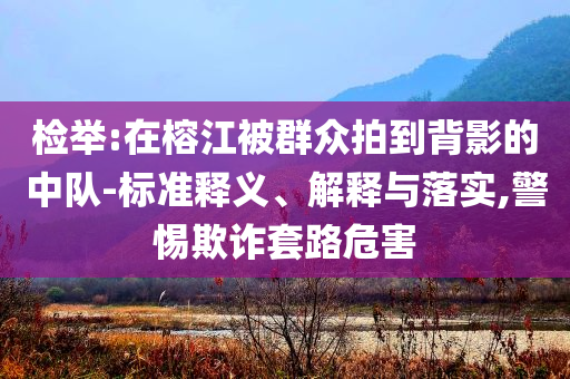 檢舉:在榕江被群眾拍到背影的中隊(duì)-標(biāo)準(zhǔn)釋義、解釋與落實(shí),警惕欺詐套路危害