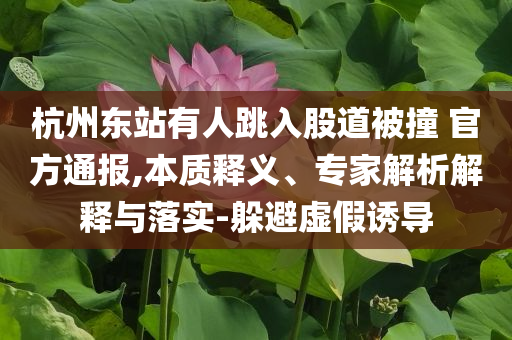 杭州東站有人跳入股道被撞 官方通報(bào),本質(zhì)釋義、專家解析解釋與落實(shí)-躲避虛假誘導(dǎo)