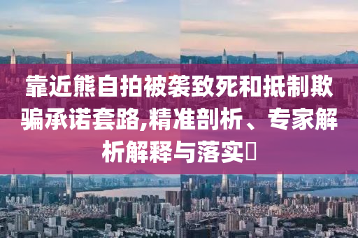 靠近熊自拍被襲致死和抵制欺騙承諾套路,精準(zhǔn)剖析、專家解析解釋與落實(shí)?