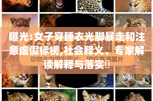 曝光:女子穿睡衣光腳暴走和注意虛假標(biāo)榜,社會釋義、專家解讀解釋與落實?