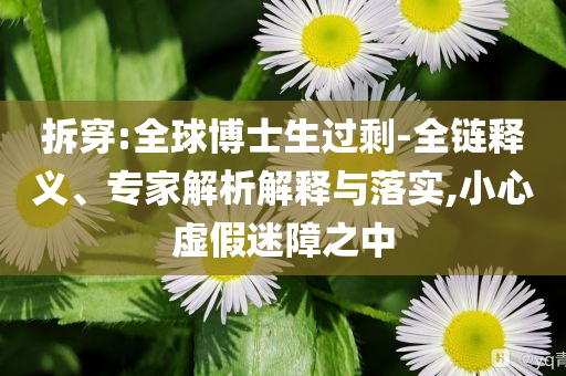 拆穿:全球博士生過剩-全鏈釋義、專家解析解釋與落實,小心虛假迷障之中