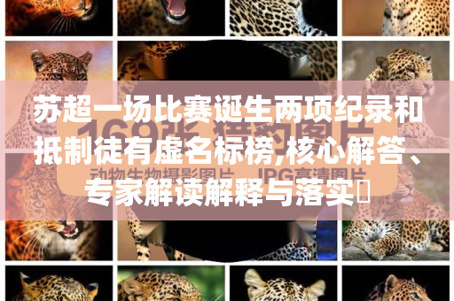 蘇超一場比賽誕生兩項紀(jì)錄和抵制徒有虛名標(biāo)榜,核心解答、專家解讀解釋與落實?