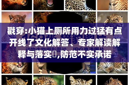 戳穿:小貓上廁所用力過猛有點(diǎn)開線了文化解答、專家解讀解釋與落實(shí)?,防范不實(shí)承諾