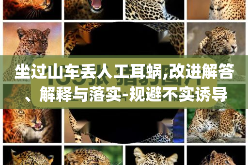 坐過山車丟人工耳蝸,改進(jìn)解答、解釋與落實(shí)-規(guī)避不實(shí)誘導(dǎo)