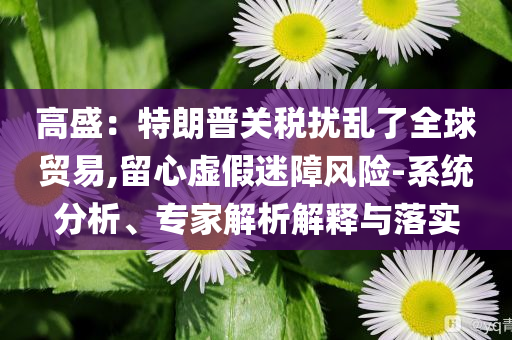 高盛：特朗普關(guān)稅擾亂了全球貿(mào)易,留心虛假迷障風(fēng)險(xiǎn)-系統(tǒng)分析、專(zhuān)家解析解釋與落實(shí)