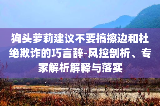 狗頭蘿莉建議不要搞擦邊和杜絕欺詐的巧言辭-風(fēng)控剖析、專家解析解釋與落實(shí)