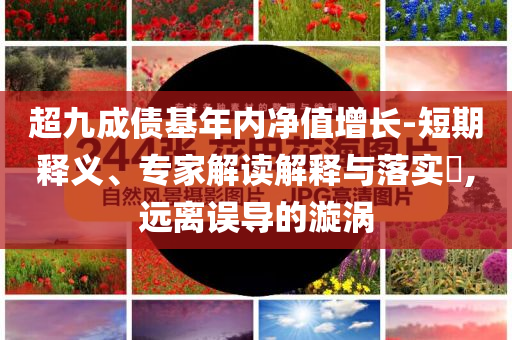 超九成債基年內(nèi)凈值增長(zhǎng)-短期釋義、專家解讀解釋與落實(shí)?,遠(yuǎn)離誤導(dǎo)的漩渦