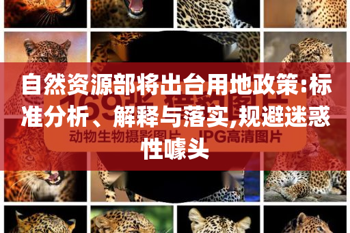 自然資源部將出臺用地政策:標(biāo)準(zhǔn)分析、解釋與落實(shí),規(guī)避迷惑性噱頭