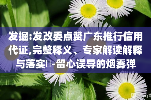 發(fā)掘:發(fā)改委點贊廣東推行信用代證,完整釋義、專家解讀解釋與落實?-留心誤導的煙霧彈
