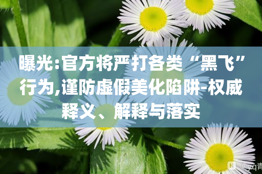 曝光:官方將嚴(yán)打各類“黑飛”行為,謹(jǐn)防虛假美化陷阱-權(quán)威釋義、解釋與落實(shí)
