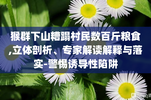 猴群下山糟蹋村民數(shù)百斤糧食,立體剖析、專家解讀解釋與落實-警惕誘導(dǎo)性陷阱
