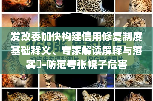 發(fā)改委加快構(gòu)建信用修復(fù)制度基礎(chǔ)釋義、專家解讀解釋與落實?-防范夸張幌子危害