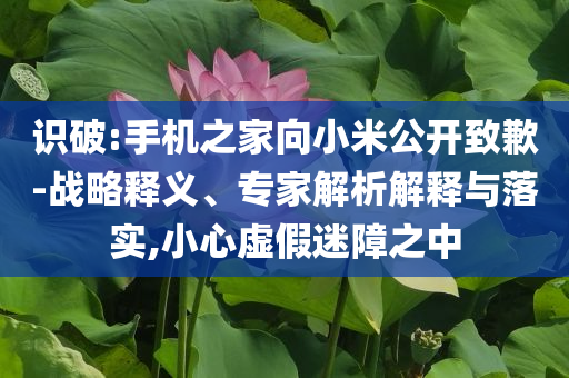 識破:手機(jī)之家向小米公開致歉-戰(zhàn)略釋義、專家解析解釋與落實(shí),小心虛假迷障之中