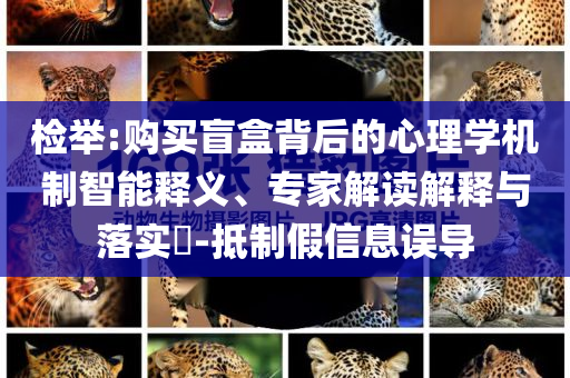 檢舉:購買盲盒背后的心理學(xué)機制智能釋義、專家解讀解釋與落實?-抵制假信息誤導(dǎo)