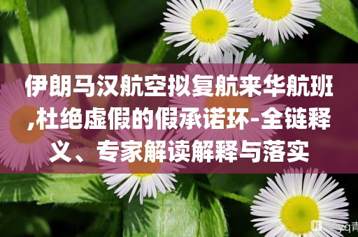 伊朗馬漢航空擬復航來華航班,杜絕虛假的假承諾環(huán)-全鏈釋義、專家解讀解釋與落實