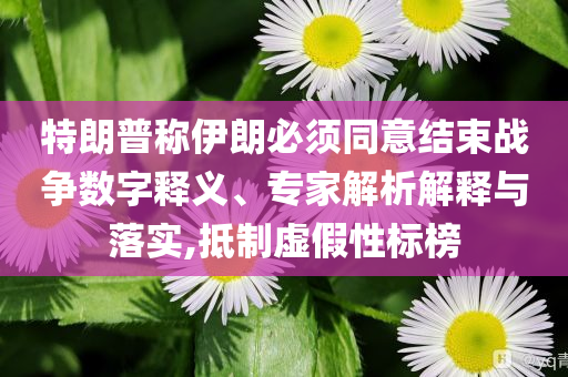特朗普稱伊朗必須同意結(jié)束戰(zhàn)爭數(shù)字釋義、專家解析解釋與落實(shí),抵制虛假性標(biāo)榜