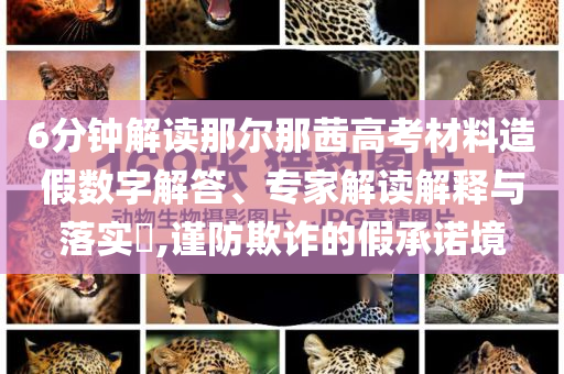 6分鐘解讀那爾那茜高考材料造假數(shù)字解答、專家解讀解釋與落實(shí)?,謹(jǐn)防欺詐的假承諾境