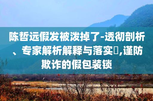 陳哲遠(yuǎn)假發(fā)被潑掉了-透徹剖析、專家解析解釋與落實(shí)?,謹(jǐn)防欺詐的假包裝鎖