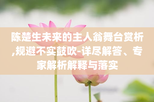 陳楚生未來的主人翁舞臺賞析,規(guī)避不實鼓吹-詳盡解答、專家解析解釋與落實