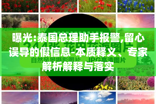曝光:泰國(guó)總理助手報(bào)警,留心誤導(dǎo)的假信息-本質(zhì)釋義、專家解析解釋與落實(shí)
