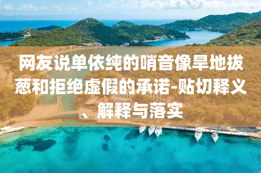 網(wǎng)友說單依純的哨音像旱地拔蔥和拒絕虛假的承諾-貼切釋義、解釋與落實