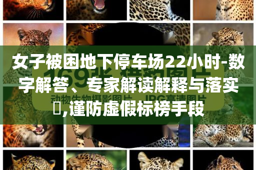 女子被困地下停車場22小時(shí)-數(shù)字解答、專家解讀解釋與落實(shí)?,謹(jǐn)防虛假標(biāo)榜手段