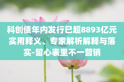 科創(chuàng)債年內(nèi)發(fā)行已超8893億元實(shí)用釋義、專家解析解釋與落實(shí)-留心表里不一營(yíng)銷