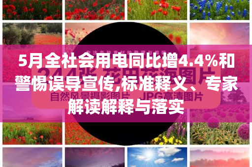 5月全社會用電同比增4.4%和警惕誤導宣傳,標準釋義、專家解讀解釋與落實