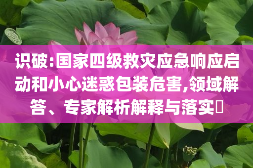 識破:國家四級救災(zāi)應(yīng)急響應(yīng)啟動和小心迷惑包裝危害,領(lǐng)域解答、專家解析解釋與落實?