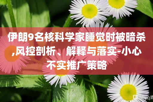伊朗9名核科學(xué)家睡覺(jué)時(shí)被暗殺,風(fēng)控剖析、解釋與落實(shí)-小心不實(shí)推廣策略