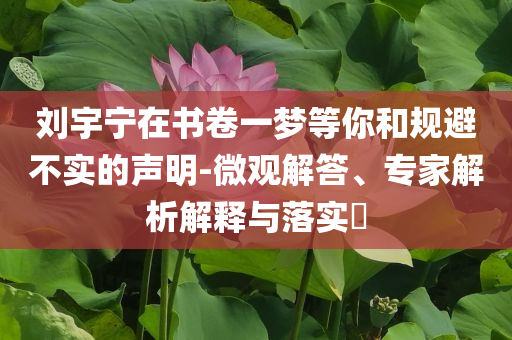 劉宇寧在書卷一夢等你和規(guī)避不實(shí)的聲明-微觀解答、專家解析解釋與落實(shí)?